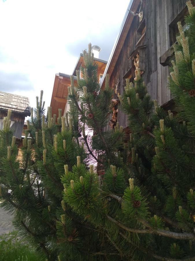 Cianbolpin Guesthouse กานาเซย์ ภายนอก รูปภาพ