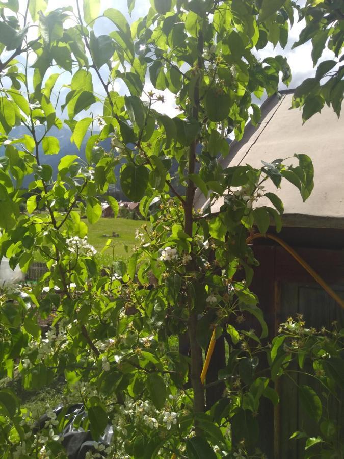 Cianbolpin Guesthouse กานาเซย์ ภายนอก รูปภาพ